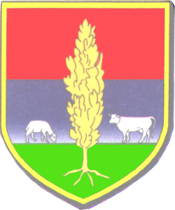 blason luz